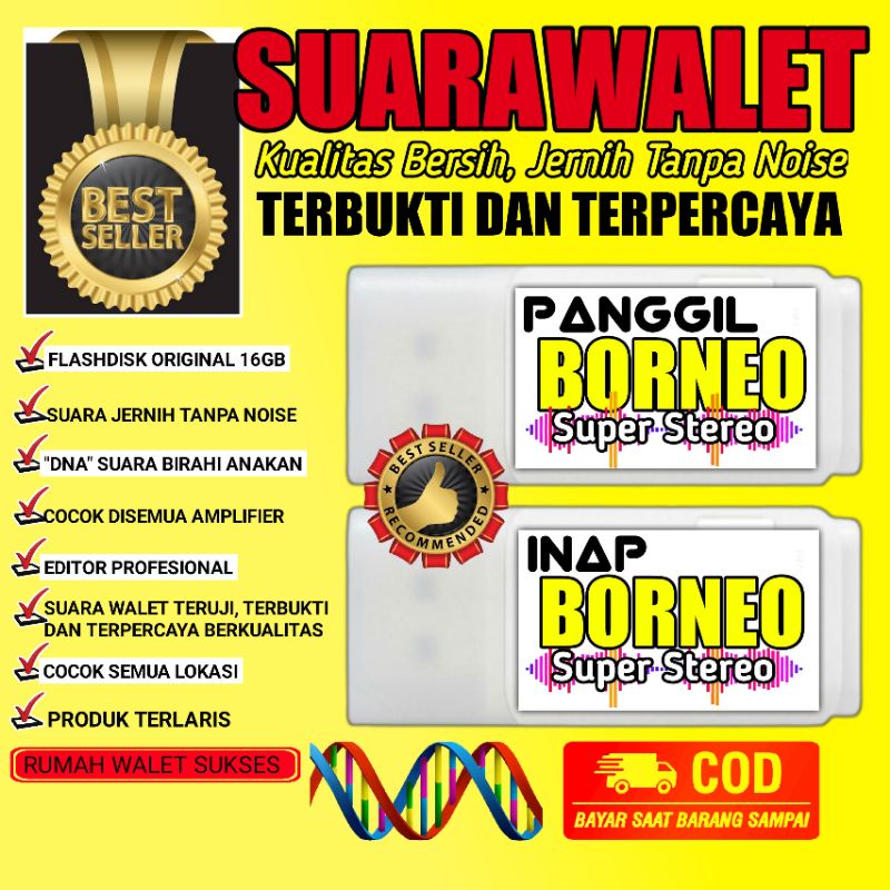 Suara Walet Super DAHSYAT, Raja Sedot Sukses ASLI KALIMANTAN