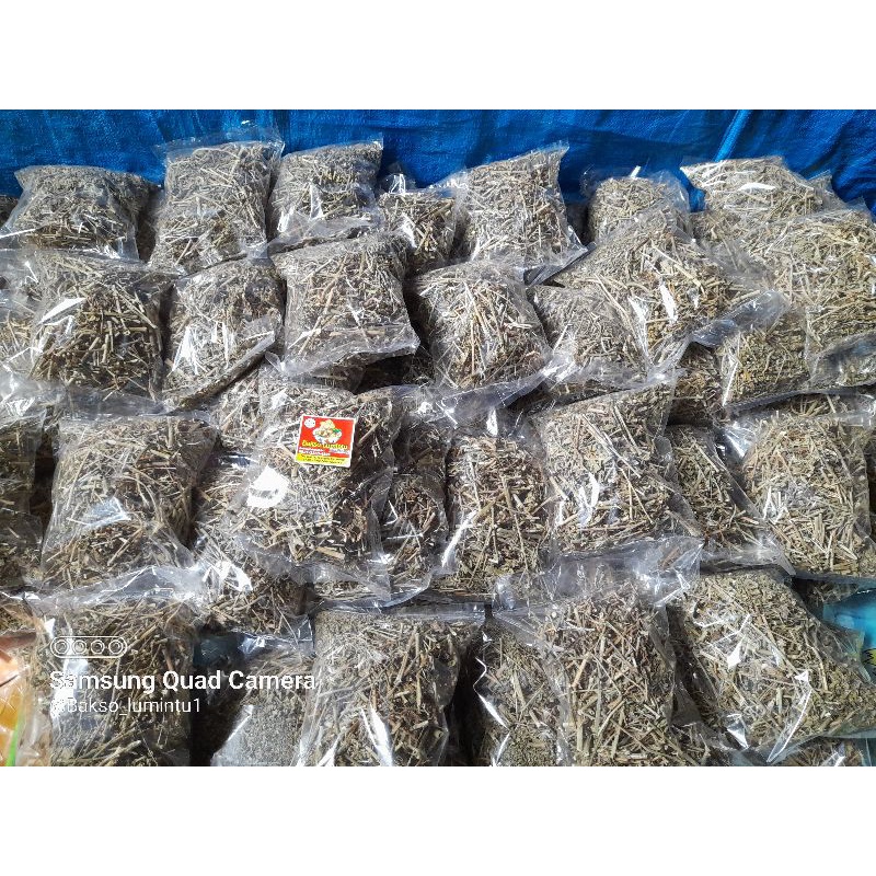 

Daun pencuci perut / katemas 100 gram daun kering