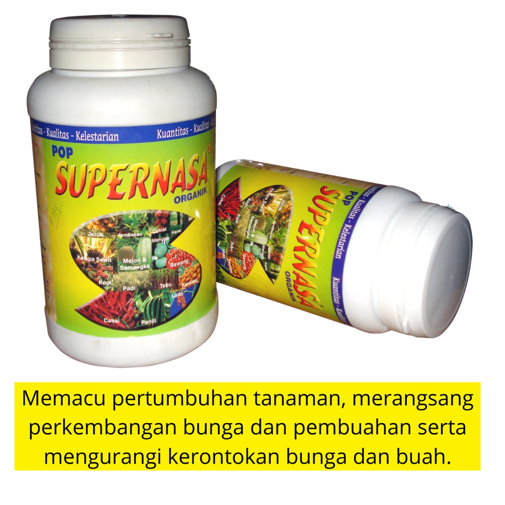 pupuk pohon mangga, pupuk perangsang buah mangga