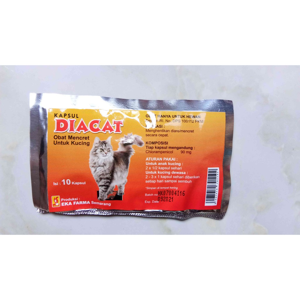 Diacat Diacaps Obat Diare Kucing Obat Mencret Untuk Kucing