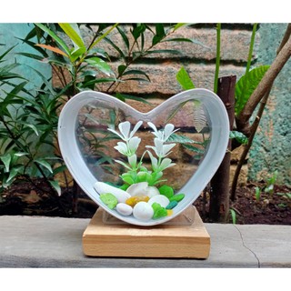 aquarium mini unik akrilik pvc love cupang,gapi,neon,ikan