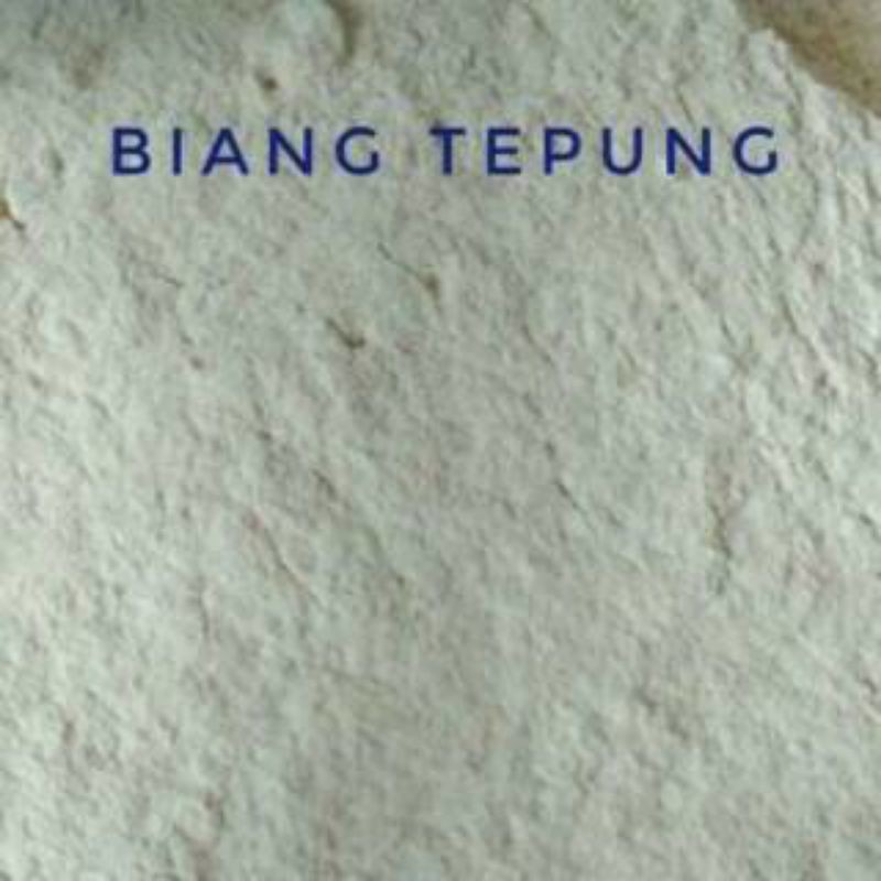 

tepung bumbu/biang tepung fried chicken