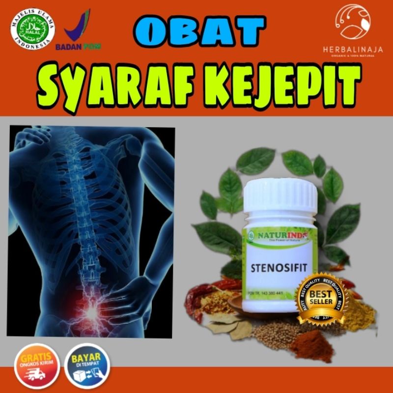 Obat Herbal Syaraf Kejepit Sakit Pinggang Obat Syaraf Saraf Kejepit Kecetit Terjepit Jamu Encok Nyer