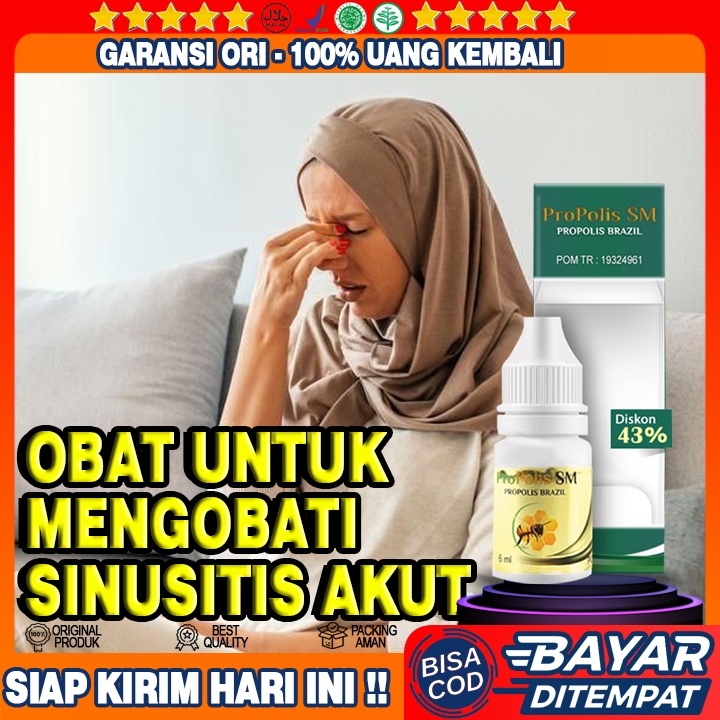 Obat Tetes Sinusitis Akut, Sinusitis Kronis, Pilex Menahun , Rhinitis, Rhinitis Alergi, Anosmia