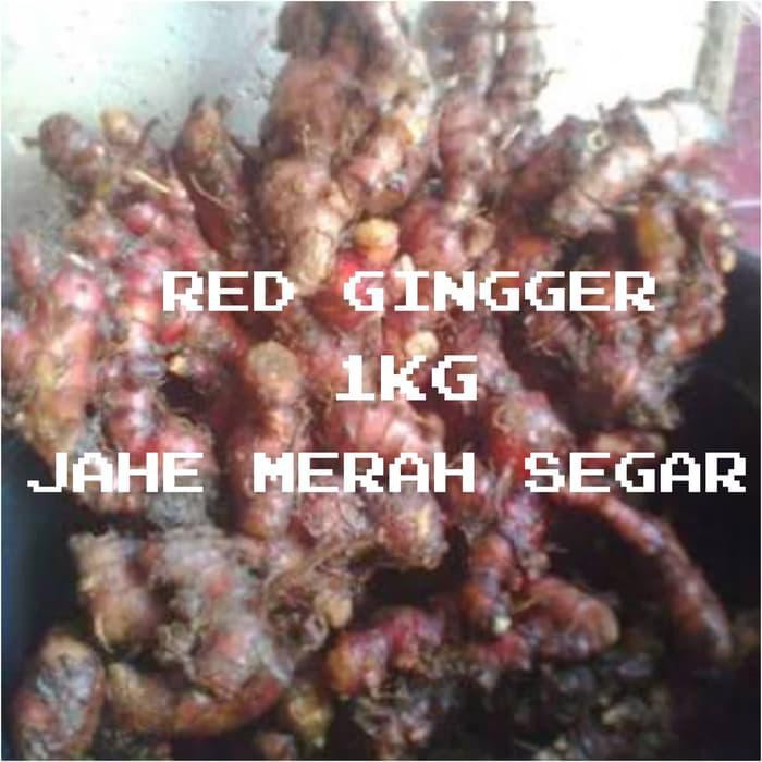 

ORIGINAL JAHE MERAH SEGAR ALAMI FRESH -RED GINGER 1KG