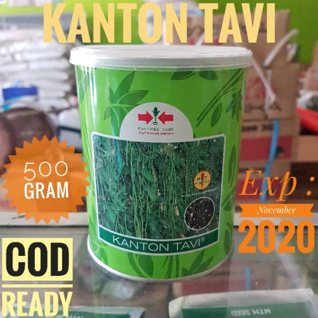 BENIH KACANG PANJANG KANTON TAVI KALENG 500 GRAM