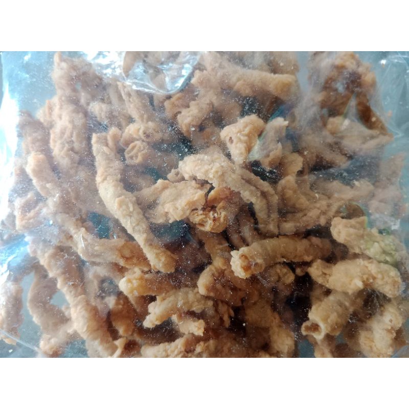 

Usus Ayam