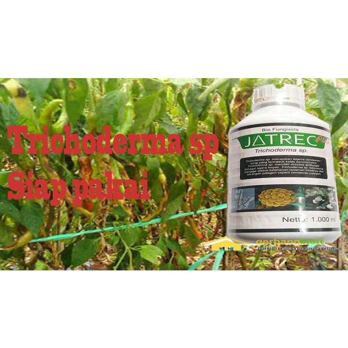 Trichoderma sp 1lt