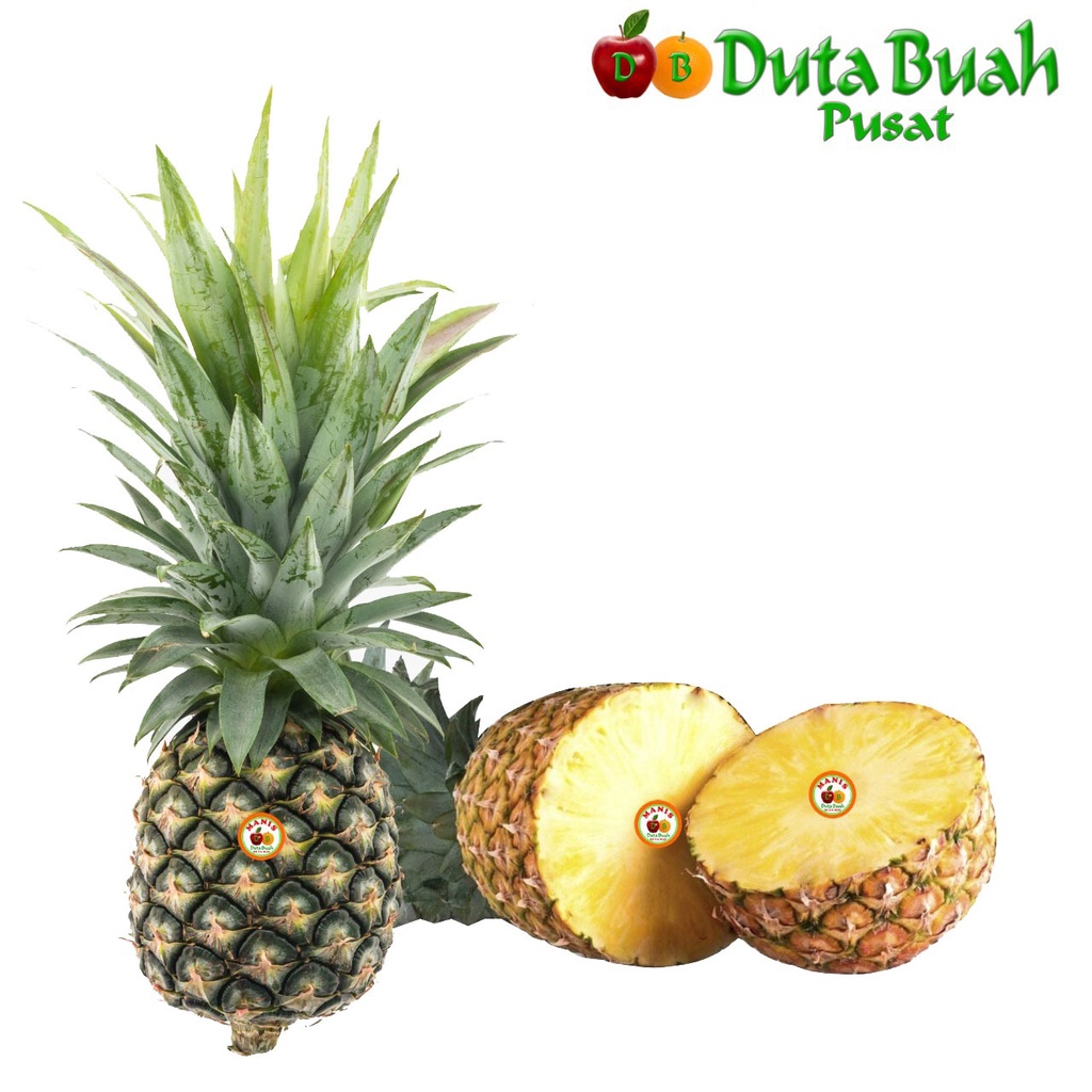 

DUTA BUAH NANAS SUBANG (600G-1.2KG/PCS)