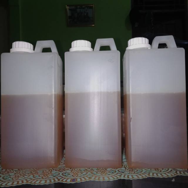 

Madu Lebah Liar pohon sialang 1 Kg
