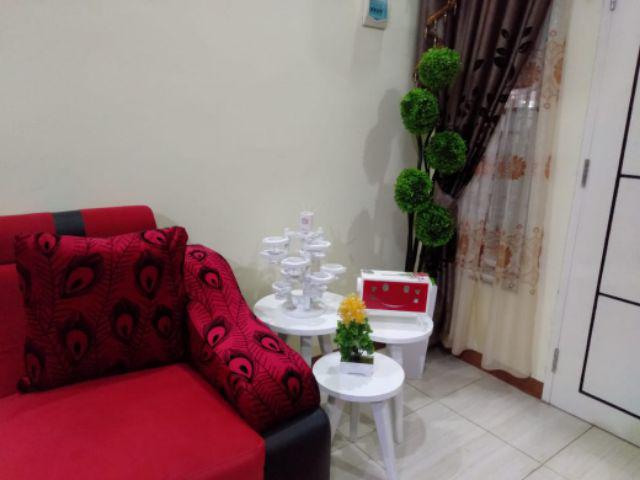 Bonsai Sudut / Bunga Sudut