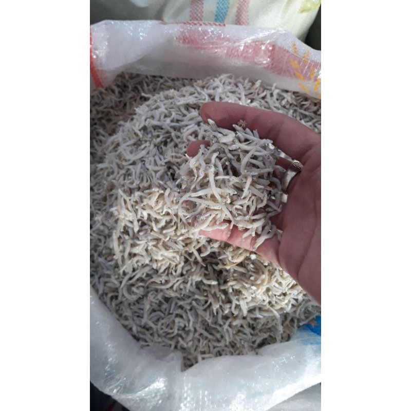 

Teri nasi Tanjungbalai kualitas terbaik 500g