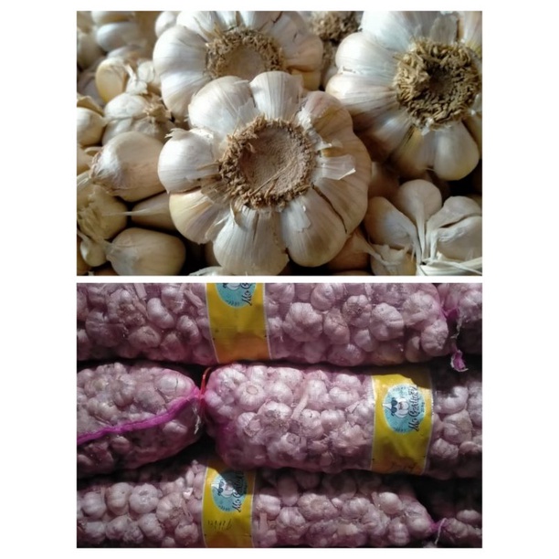 

[BISA COD]BAWANG PUTIH BERSIH MURAH ECER