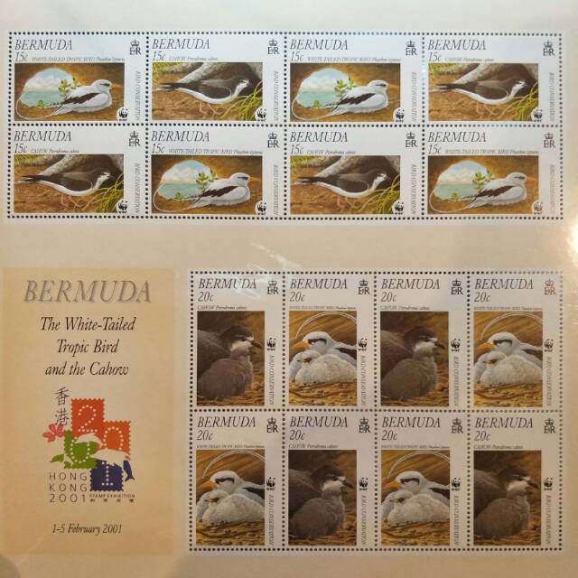 

Full Sheet Perangko Burung Tropis Bermuda - Prangko Koleksi