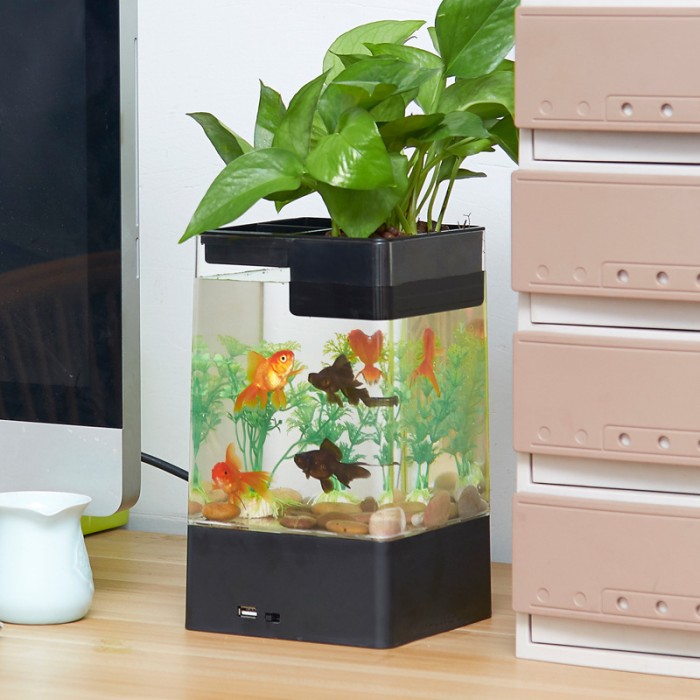 Desktop Acrylic Mini Aquarium / Akuarium Import