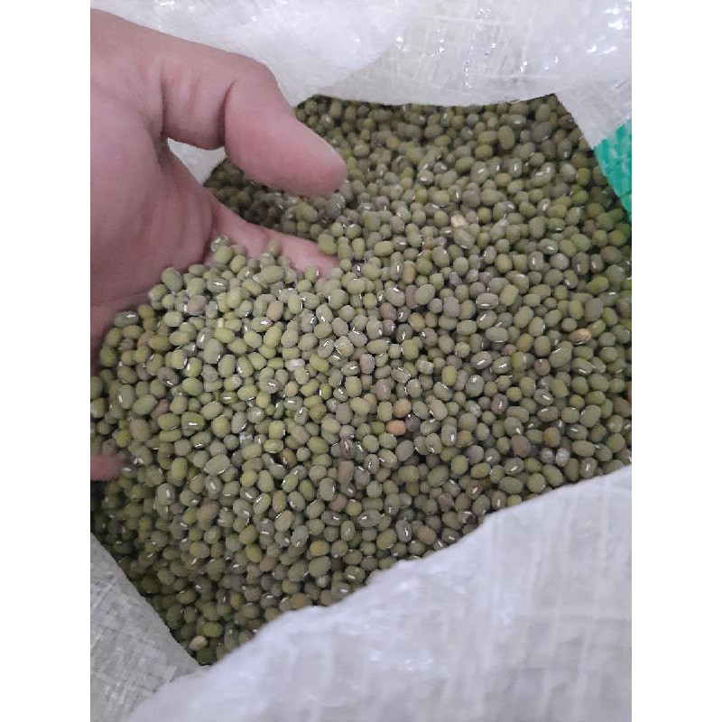 

Kacang Hijau pilihan Bersih 500 Gram