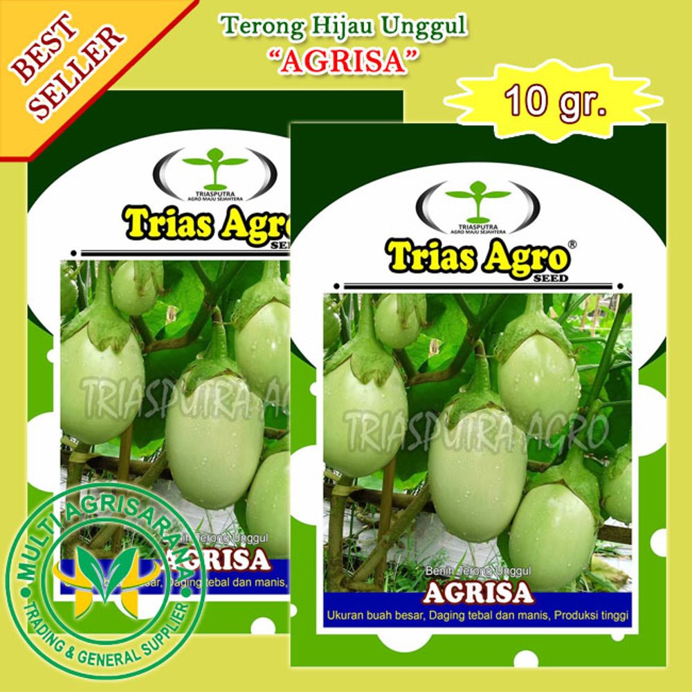 Benih Bibit Terong Hijau Pondoh AGRISA Murah