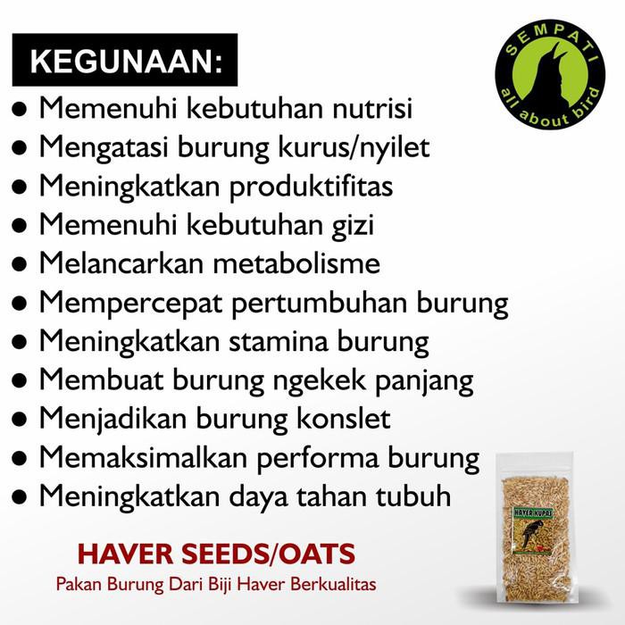 Biji Haver Seed Kupas R Fam Oats Pakan Burung Kenari Lovebird Hvrkrf