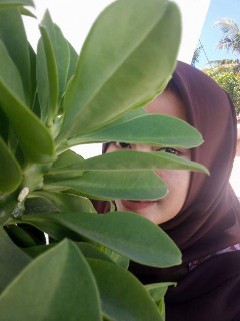 ❁zb❁ New Sriwedari Superjumbo(gamis Batik Jumbo,batik Bigsize,busana Wanita,batik Murah,batik Solo)