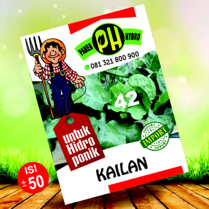BENIH BIBIT KAILAN KHUSUS HIDROPONIK