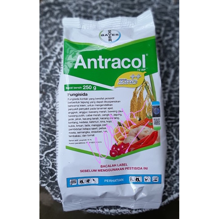 Antracol 250gram