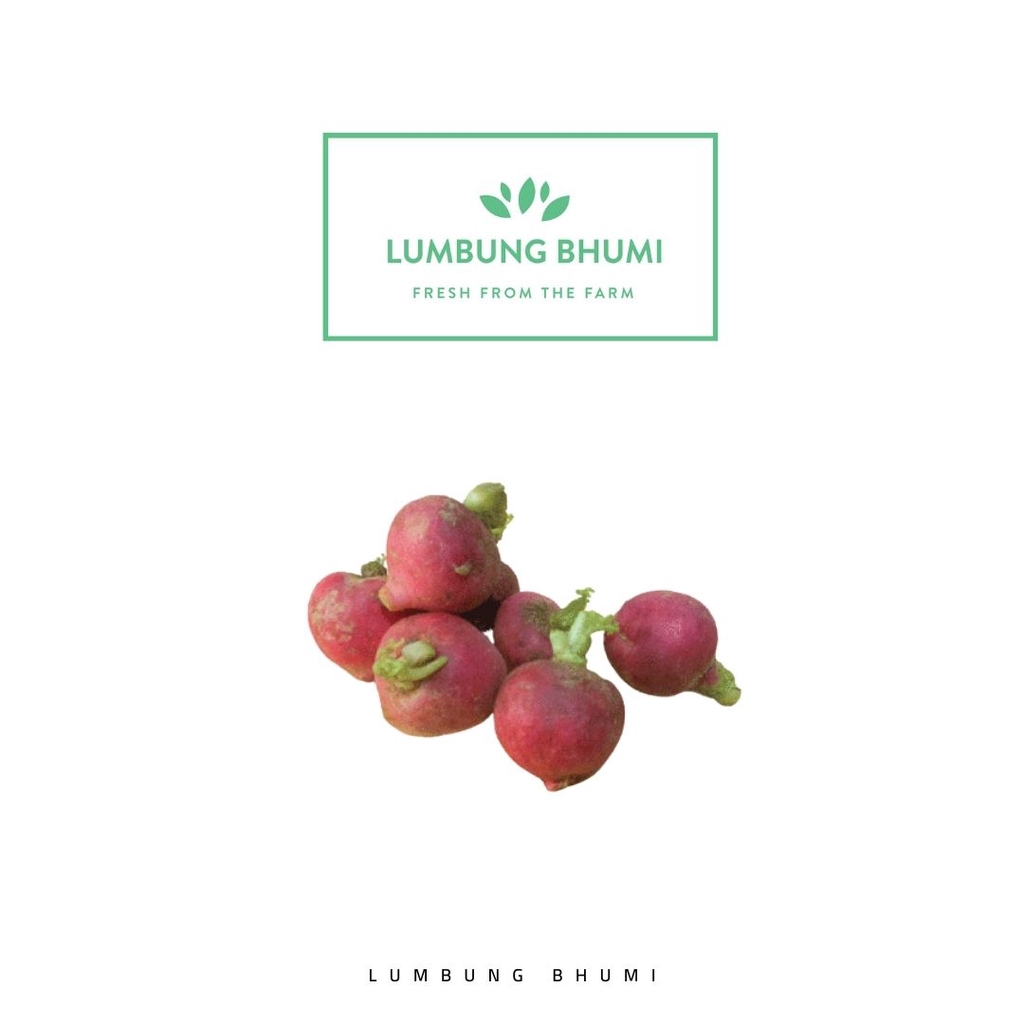 

Lumbung Bhumi - Baby Lobak Merah 200 Gr ( Sayur Curah )