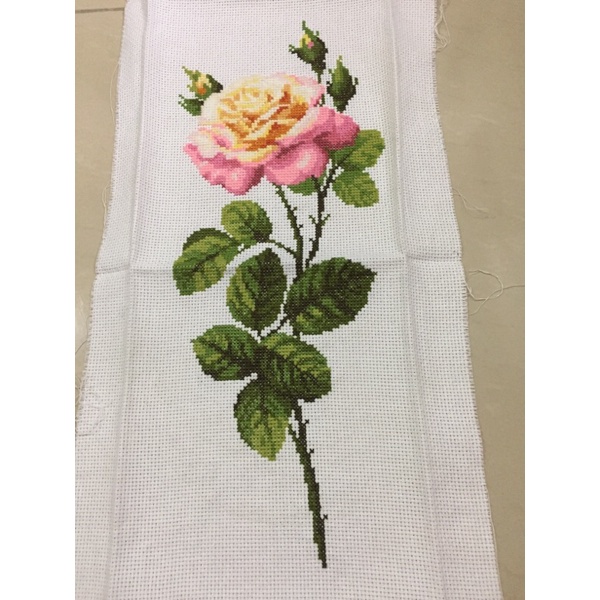 Sulaman kristik Jadi Rose