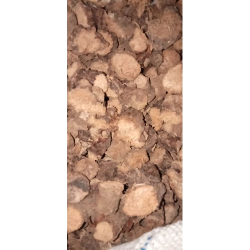 

Akar Nampu 1 kg kering