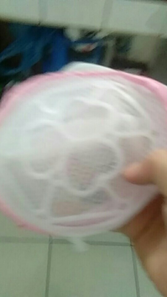 Tempat Mencuci Bra / Kantong Cuci Bra Mesin