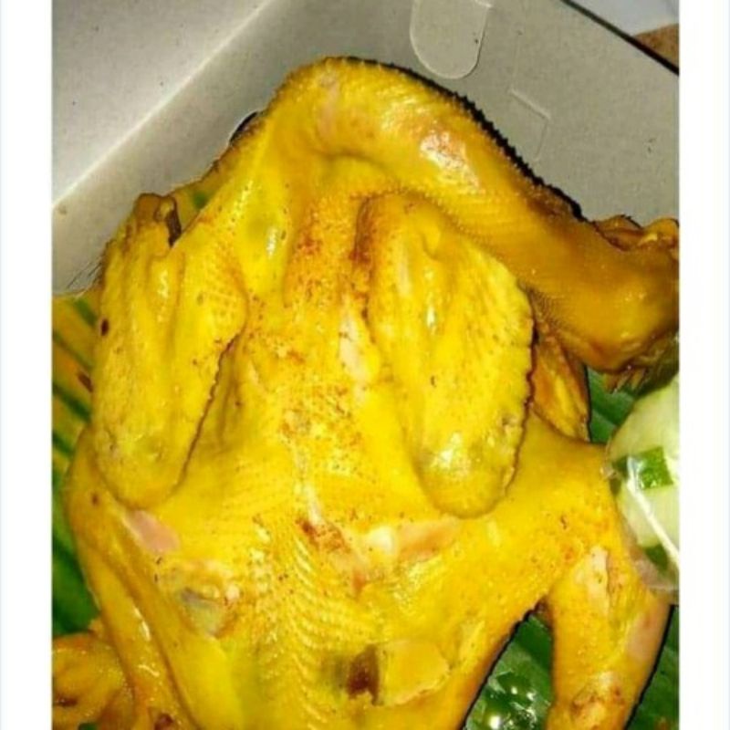 

bebek ungkep bakakak utuh fresh masak dadakan 1 ekor