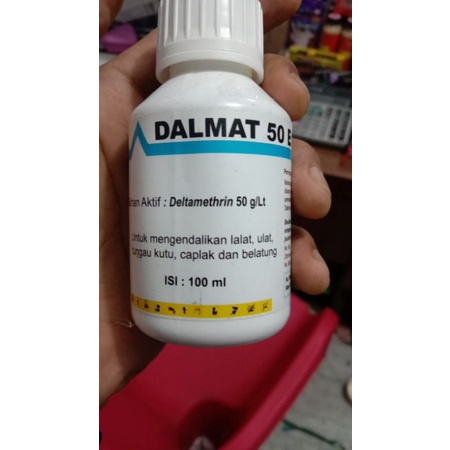 DALMAT OBAT KUTU KUCING
