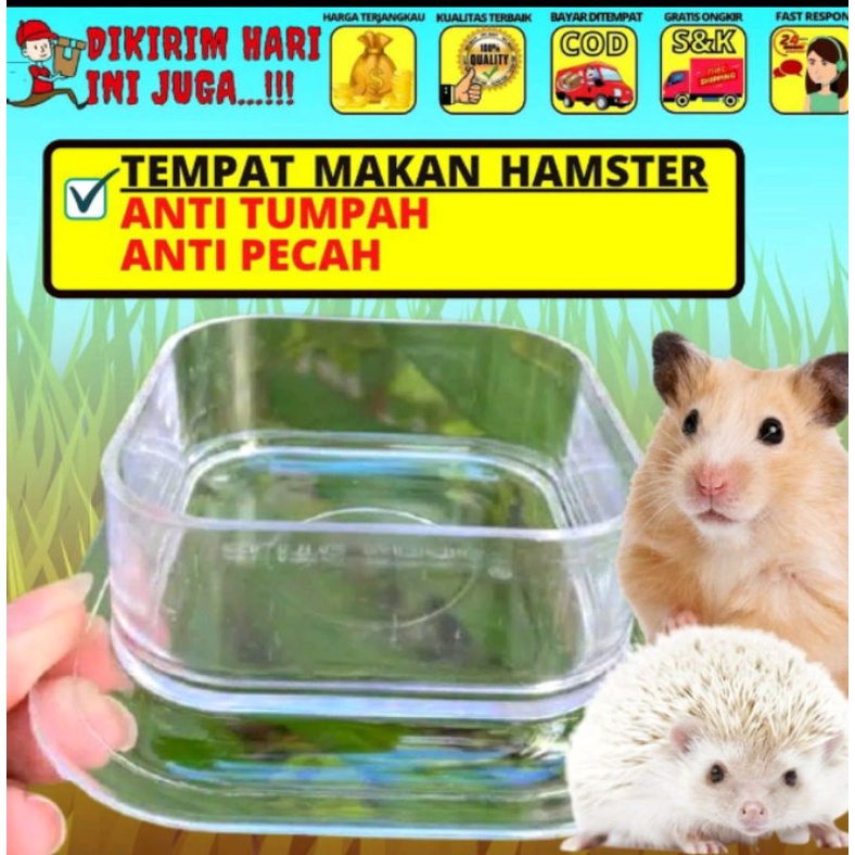Tempat Makan Hamster Akrilik Wadah Air Minum Bajing Piring Pakan Makanan Sugar Glider Mencit Tupai C