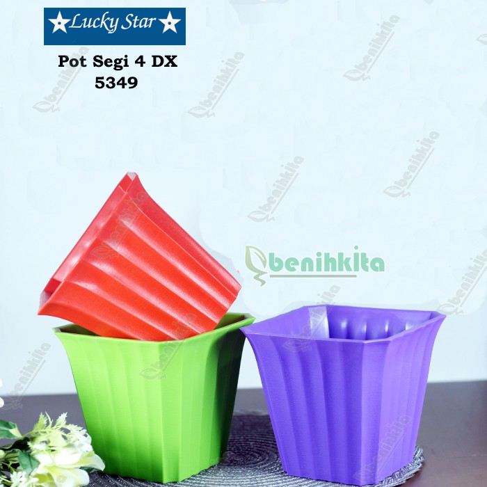 Pot Tanaman-Bunga Segi Violeta 5349-DX (Lucky Star)