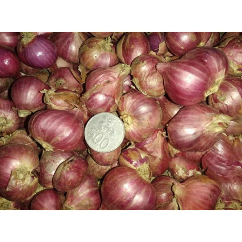 

BAWANG MERAH LOKAL 1Kg UKURAN BESAR SUPER