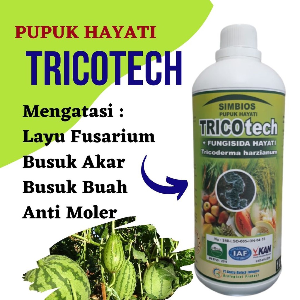 Pupuk Hayati Trichotech 1l Fungisida Trichoderma Cair Obat Layu Busuk Akar Batang Buah Tricoderma Shopee Indonesia