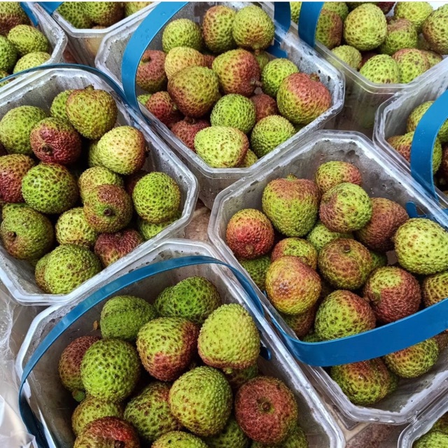 

Leychee manis impor china