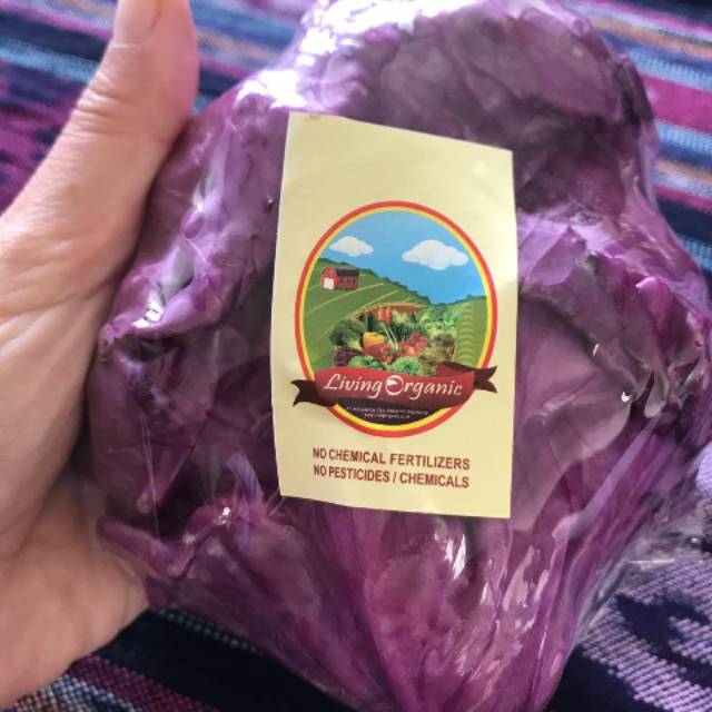 

Kol Merah Ungu Organik || 1000gr || Red Cabbage