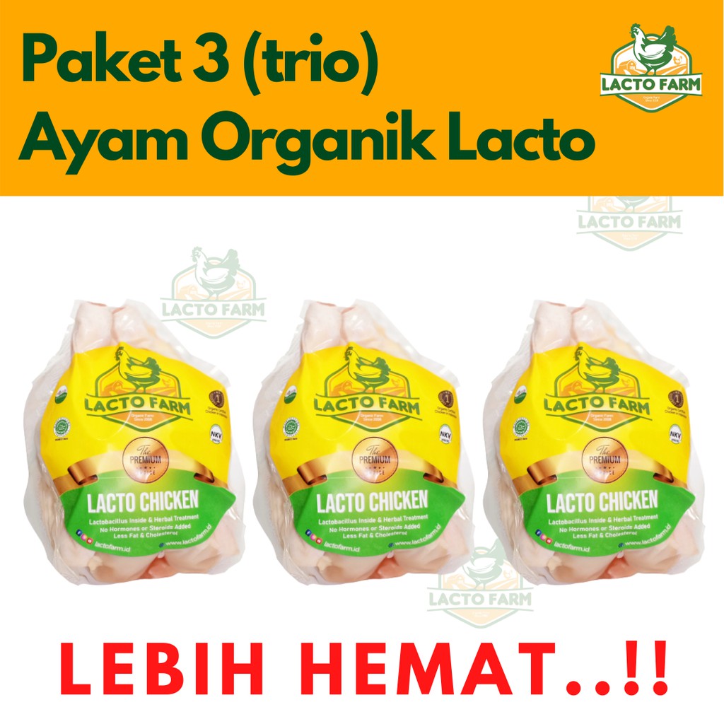 

Paket HEMAT 3 Ayam Organik Lacto Farm (700-800gr), Ayam Organik Probiotik, Halal