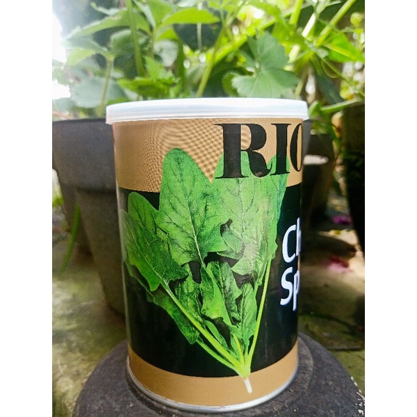 Bibit Bayam Cina ( chinese spinach ) original RIOTA repack 10 gram