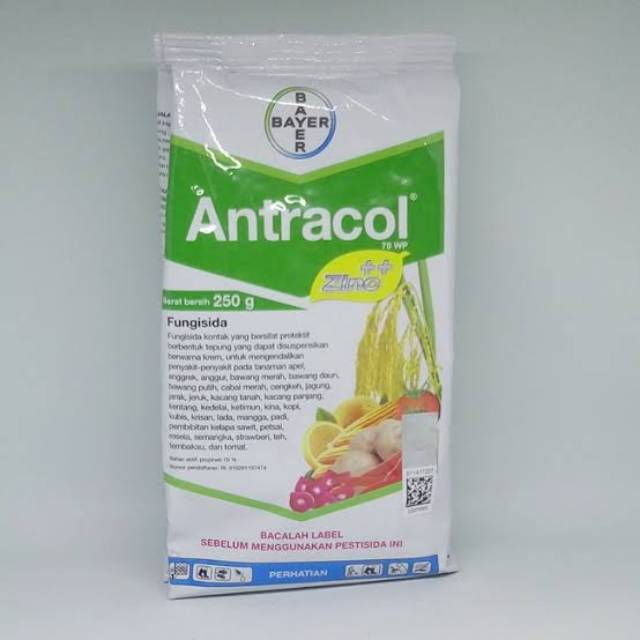 Obat Tanaman Fungisida Antracol