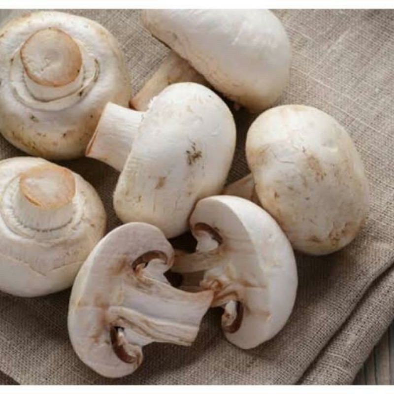 Jamur Champignon / jamur kancing 1kg