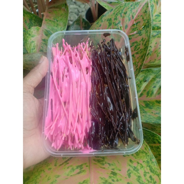 

milidi varian rasa