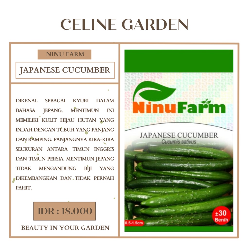 BIBIT TIMUN JEPANG / JAPANESE CUCUMBER / NINUFARM / ORIGINAL PABRIK
