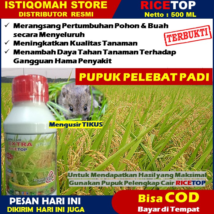 RICETOP 500ml - Obat Hama Tikus Pada Tanaman Padi dan Jagung Mujarab dan Manjur, Obat Pengusir Hama Tikus Alami, Obat Pembasmi Hama Tikus Ampuh, Obat Pencegah Hama Tikus Terbaik, Obat Untuk Mengusir Hama Tikus di Sawah 100% ASLI