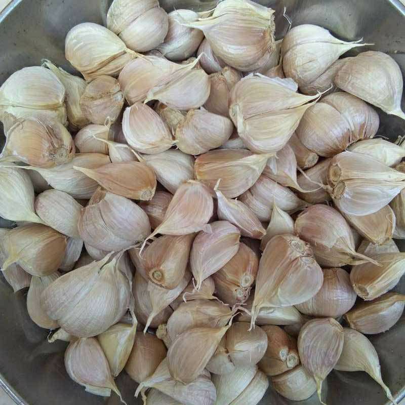 

Bawang Putih Kating Pilihan (250g)