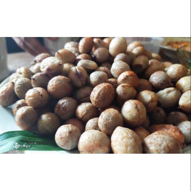 

MelQueen - Kacang Bogor