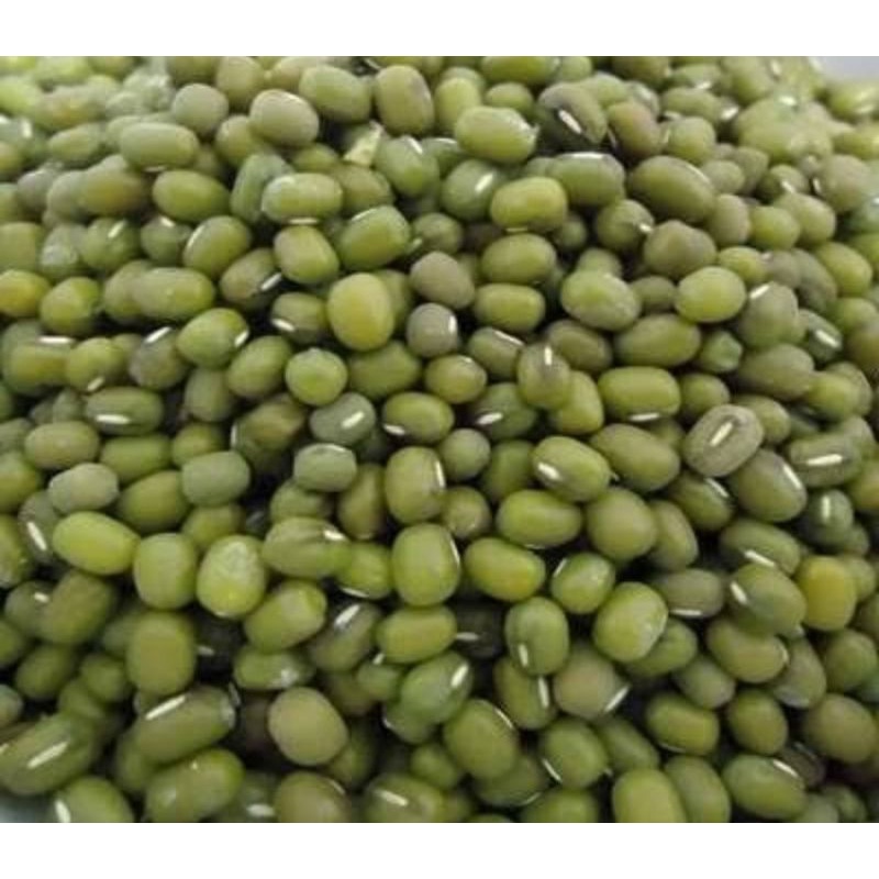 

kacang hijau lokal