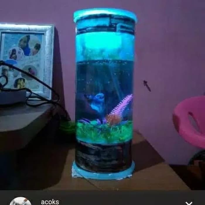 Aquarium mini plus mesin oksigen || wg aquarium TIPE V2