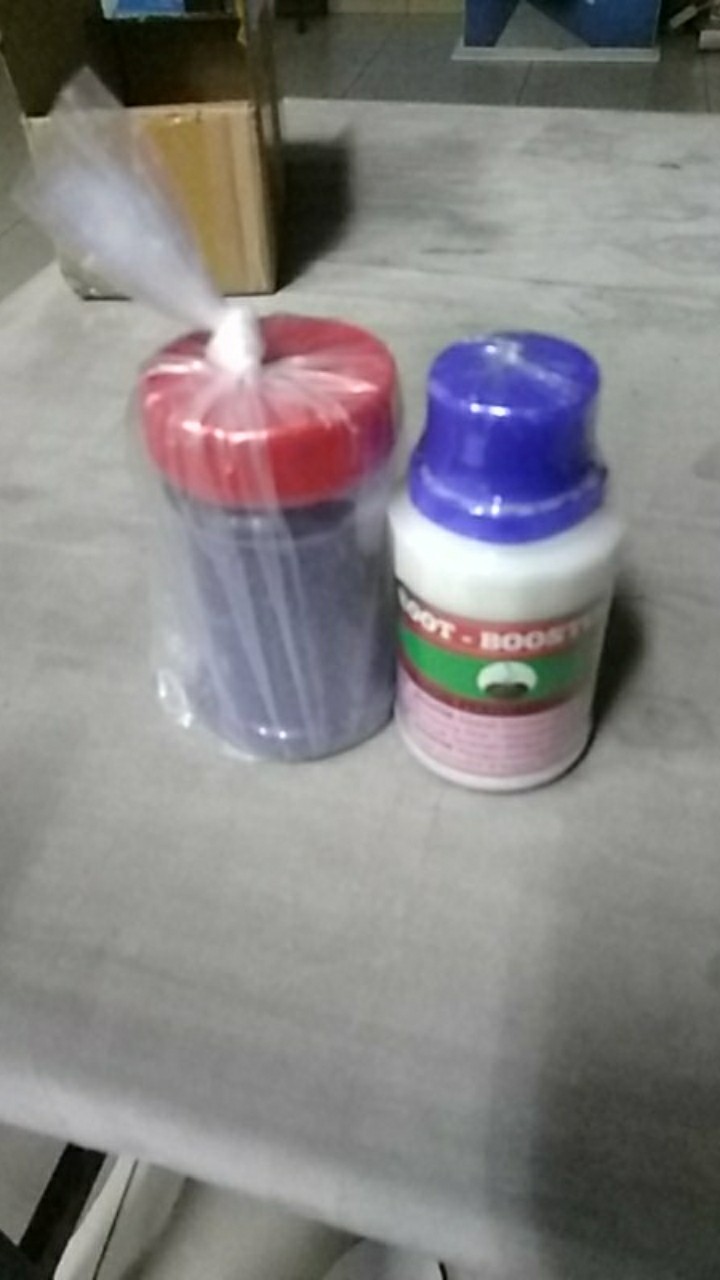 Furadan Pengendali Hama