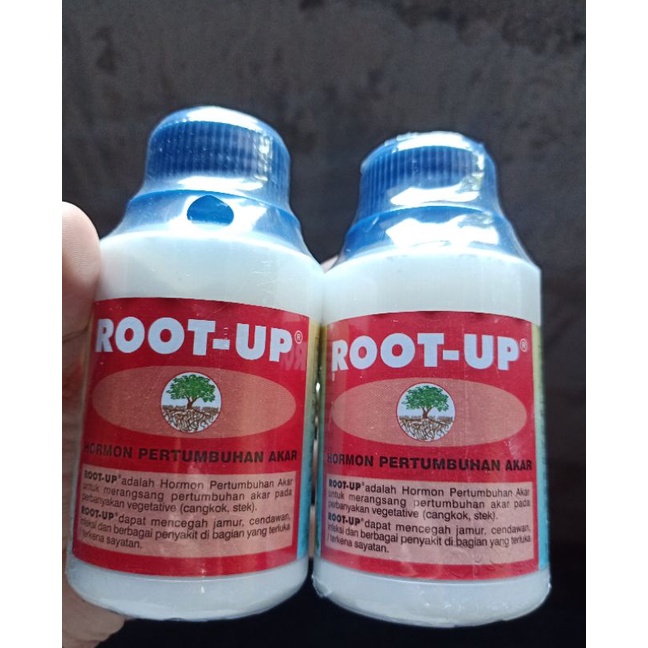 ROOT UP PERANGSANG AKAR BISA COD